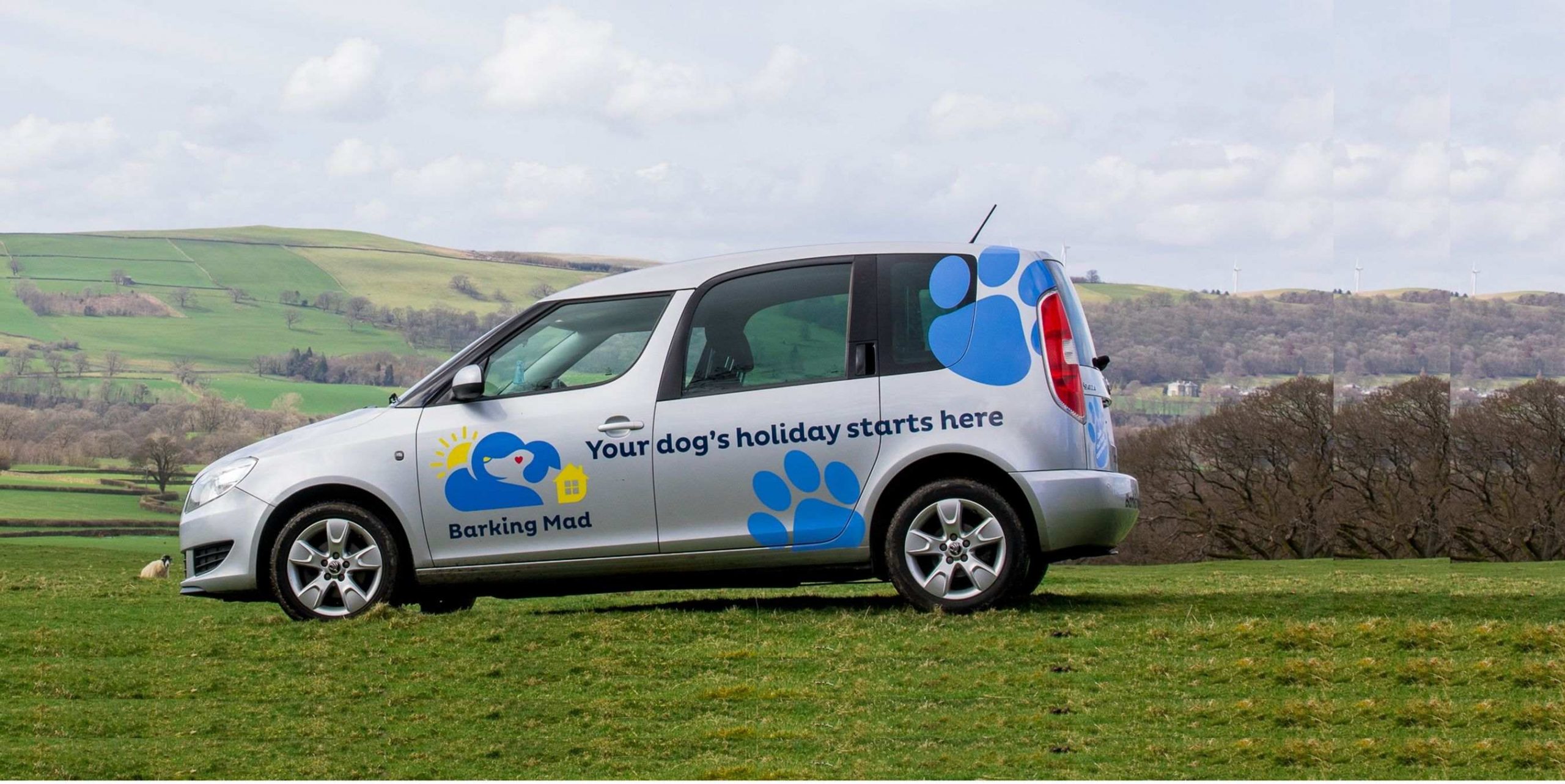 Barking Mad Dog Sitting Car On Hillside Crop