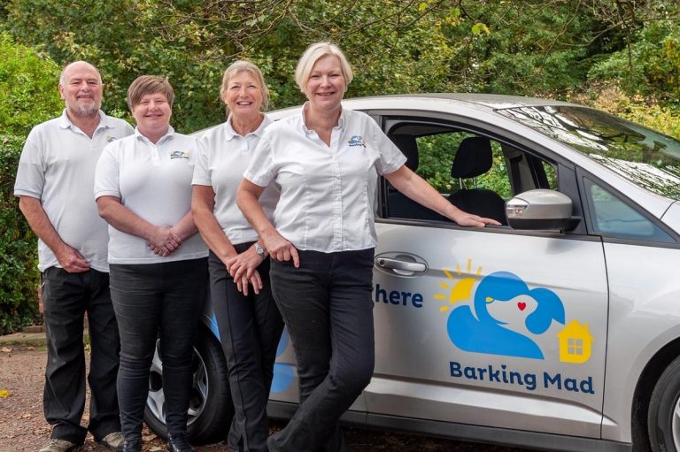 Barking Mad Dog Sitting Home Baording Carrie And Her Staff Newcastle Tyne Valley