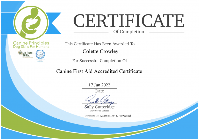 Canine Principles Certificate
