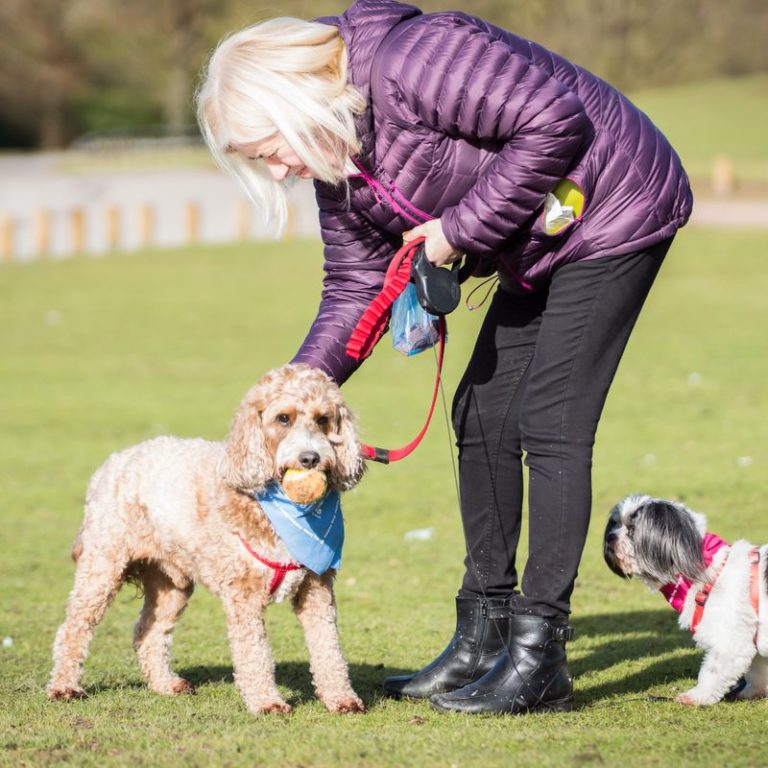 Donna Cotton Host Family Dogs On Holiday