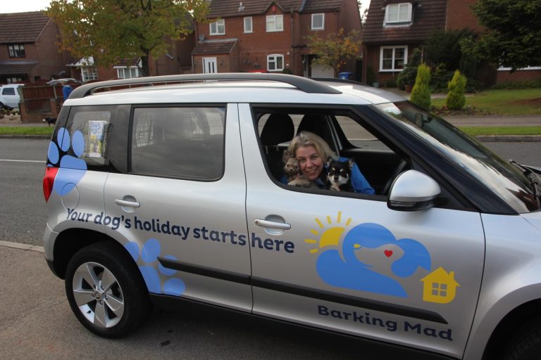 Nicola Fairbrass in the barking mad dog sitting home boarding car chihuahua