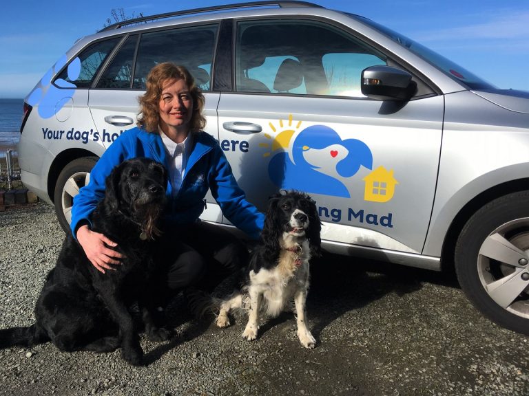 Karen Wright barking mad dog sitting home boarding Conwy
