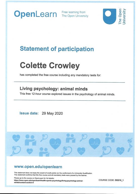 Statement Of Achievement