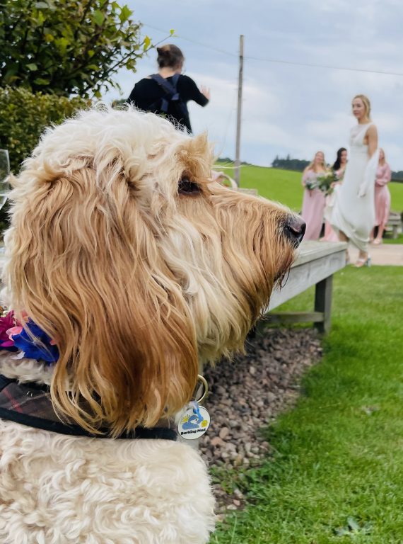 Wedding Northumberland (1)