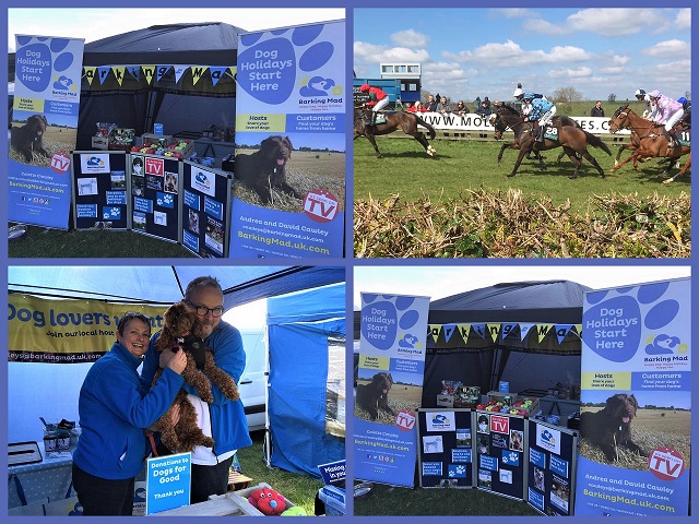 1 Barking Mad Banbury Dog Boarders Enjoyng A Day At The Races In Mollington,warwickshire