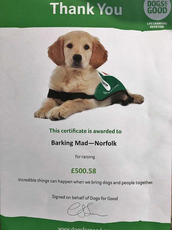 Sharon Booden barking mad Norwich home boarding dog sitting.