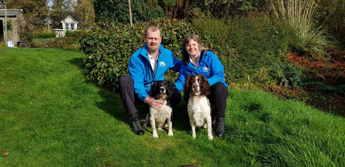 Owning a Barking Mad dog sitting business has allowed John and Elaine to realise their dream of working with dogs