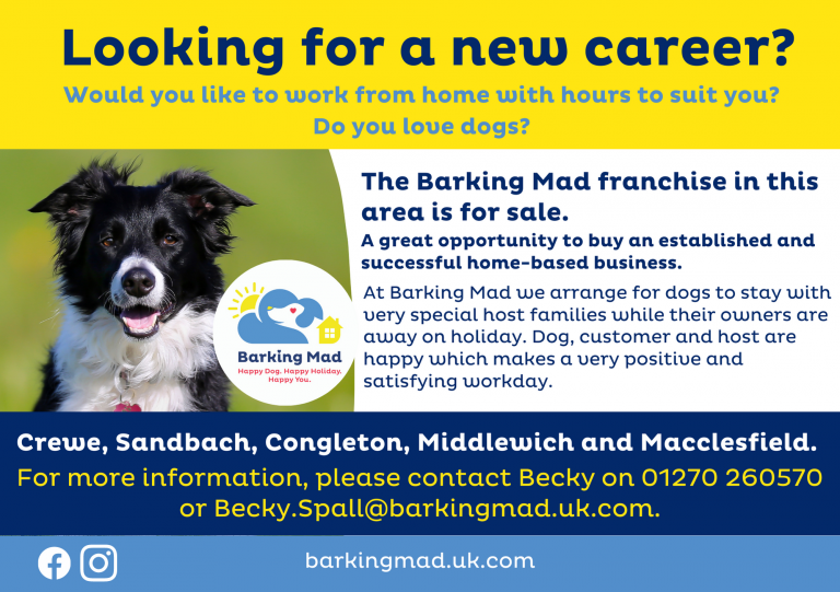 Dog Boarding In Crewe And Dog Sitting Barking Mad