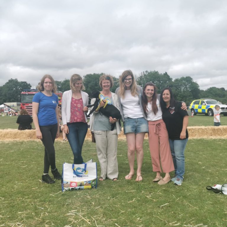 Best In Show Barking Mad Dog Sitting Home Boarding dog show