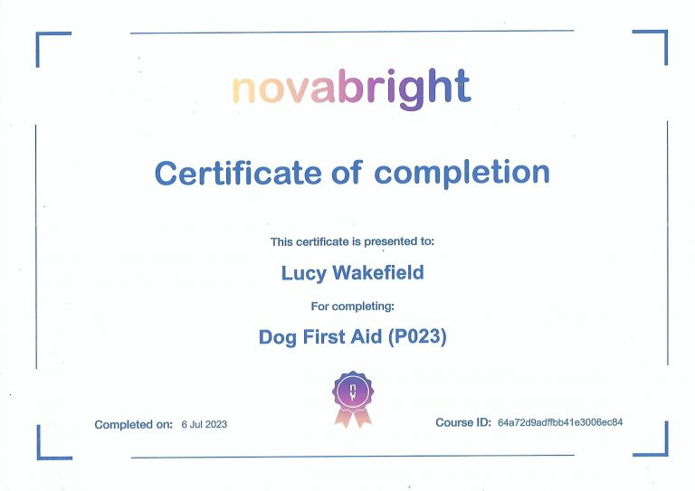 Dog First Aid Certificate