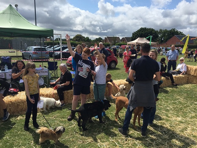 Dog Show Success Barking MAd South Norfolk dog show 