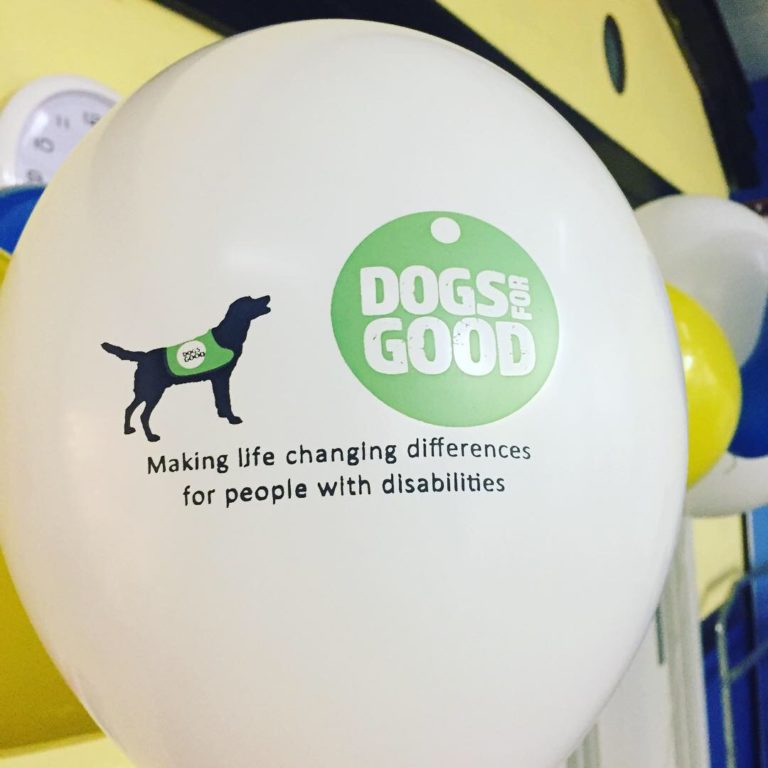 Dogs For Good 2 Barking Mad South Norwich dog sitting home boarding host family