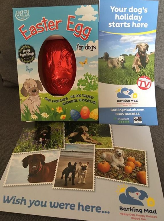 EastBarking Mad Cotswold holiday dogs got a special Easter treat!er Eggs