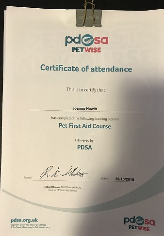 First Aid Certificate Pdsa