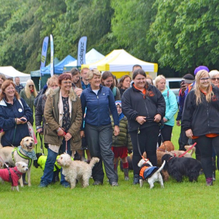 Barking Mad Local News Chester