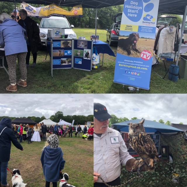 Barking Mad Local News Chester