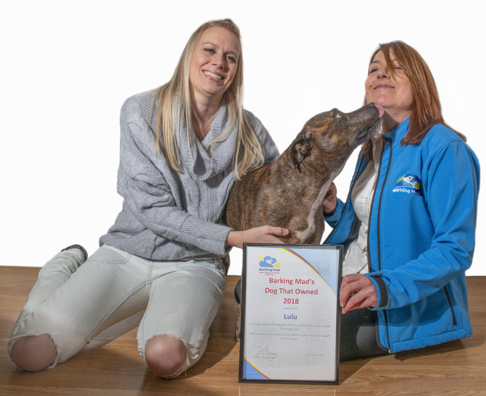 Brave Staffordshire bull terrier Lulu receives national award from Barking Mad Dog Care