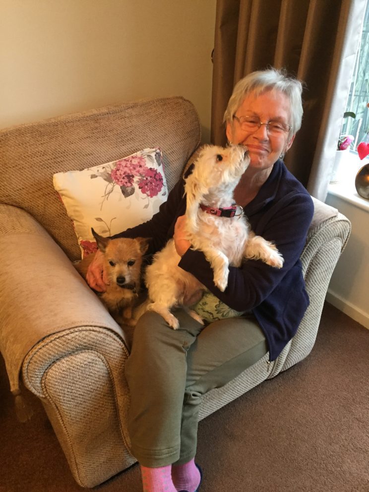 Barking Mad Dog Sitting Host Wendy Fearn loves volunteering with dogs