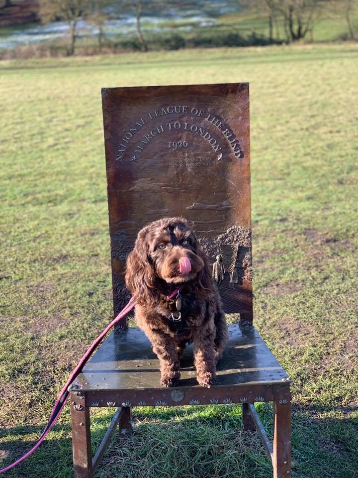 Visiting historic sites with your dog is a great way to have fun