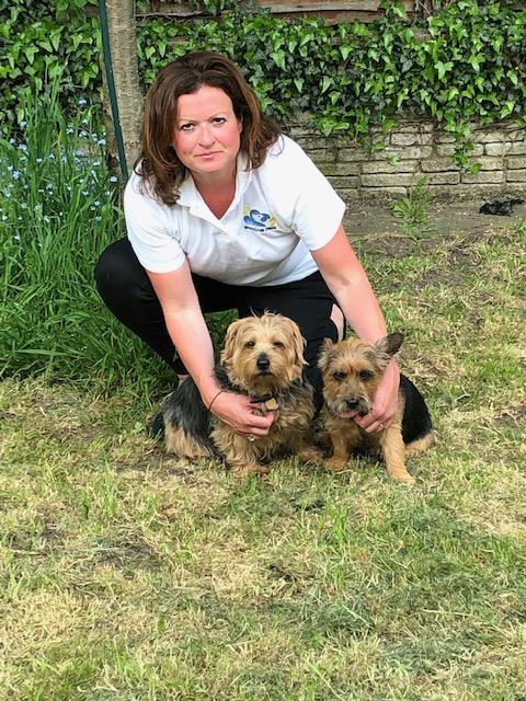 Barking Mad Crewe cheshire dog sitting home boarding