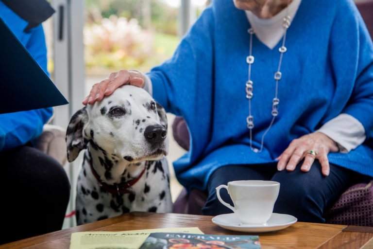 Caring for dogs with Barking Mad allows hosts to experience the benefits of dog ownership without the full time financial and emotional commitment