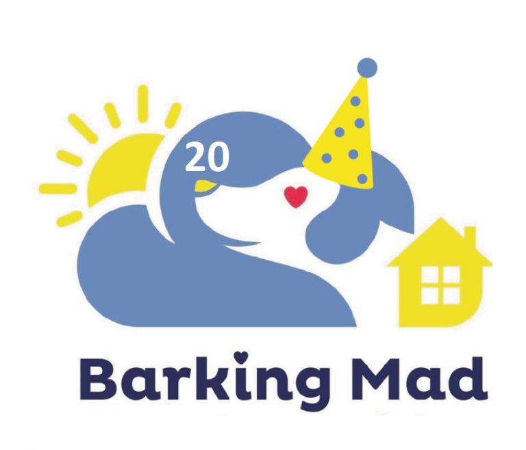 20 Birthday Logo