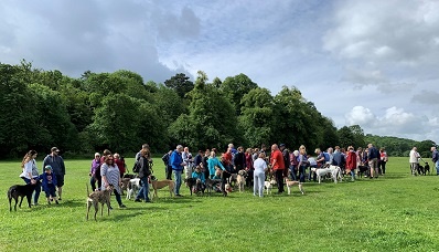 3 Great Global Greyhound Walk (002)
