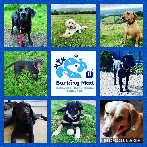 Photo 3 Happy Customers On Their Barking Mad Holiday