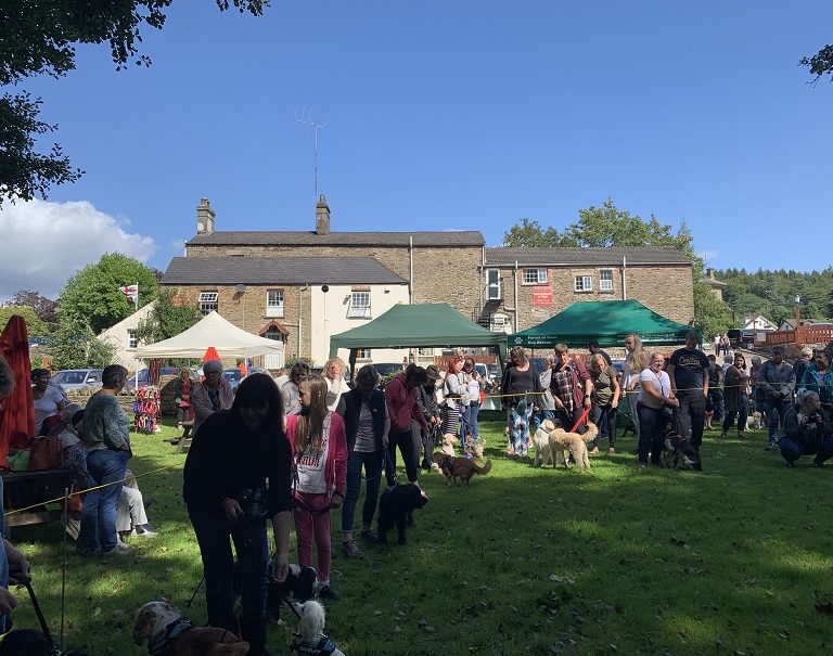 Forest of Dean Dog Rescue Coffee Morning and Dog Fun Day