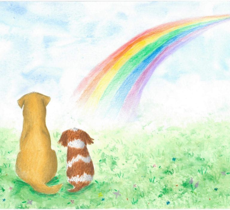 Sept 1 Dog Remembrance Month