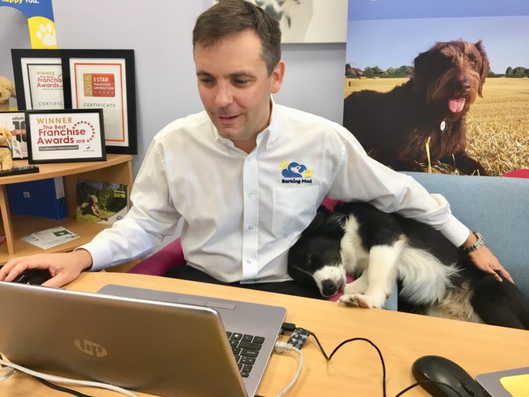 Barking Mad set a record for 78 dogs on a live video conference call