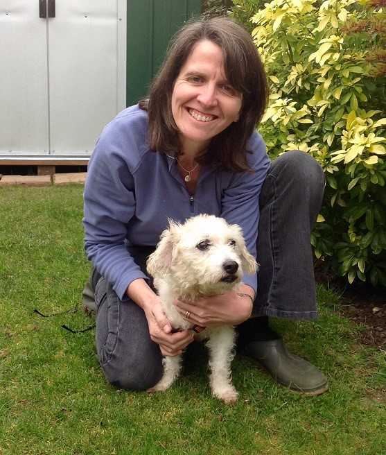 Lucy cares for dogs like Gabby with Barking Mad Chichester