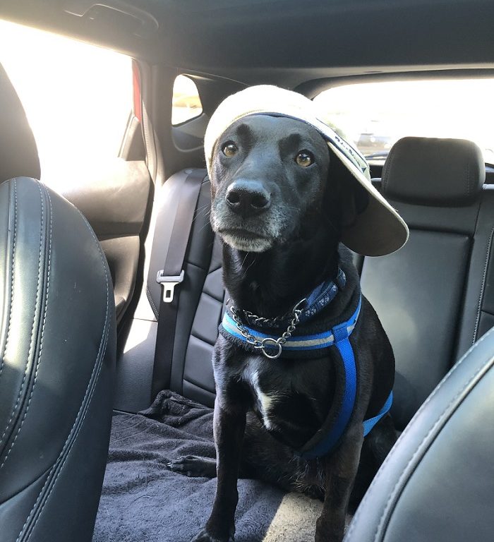 chief barketing officer Kety