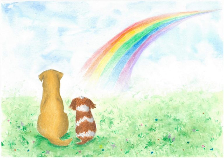 Rainbow Bridge Illustration By Hannah Robinson Illustrations E1532001434305