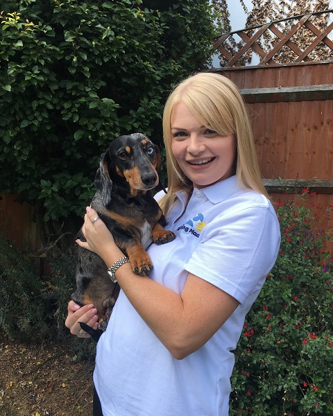 Amelia Jewels of Barking Mad St Albans is a professional dog sitter