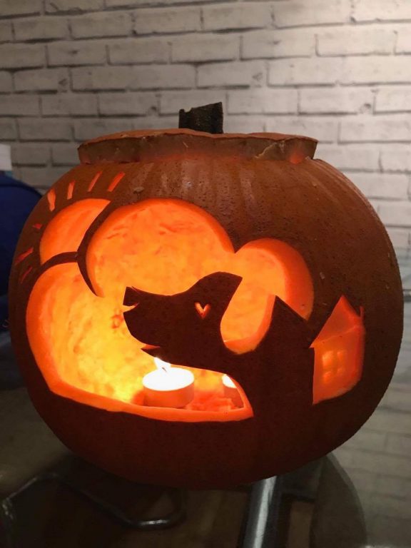 Barking Mad dog sitters' Halloween Pumpkin
