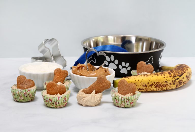 Dog Biscuit Ice Cream Cookies With Ingredients And Dog Bowl. Copy Space.