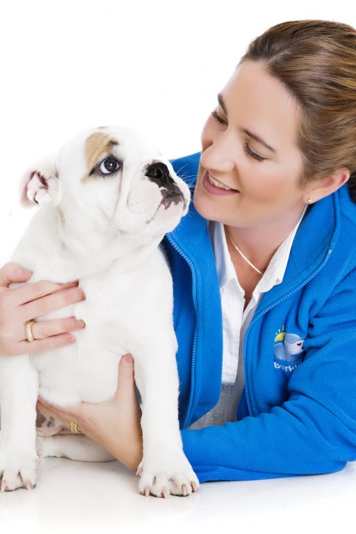 Looking After Dogs for a Living Barking Mad UK