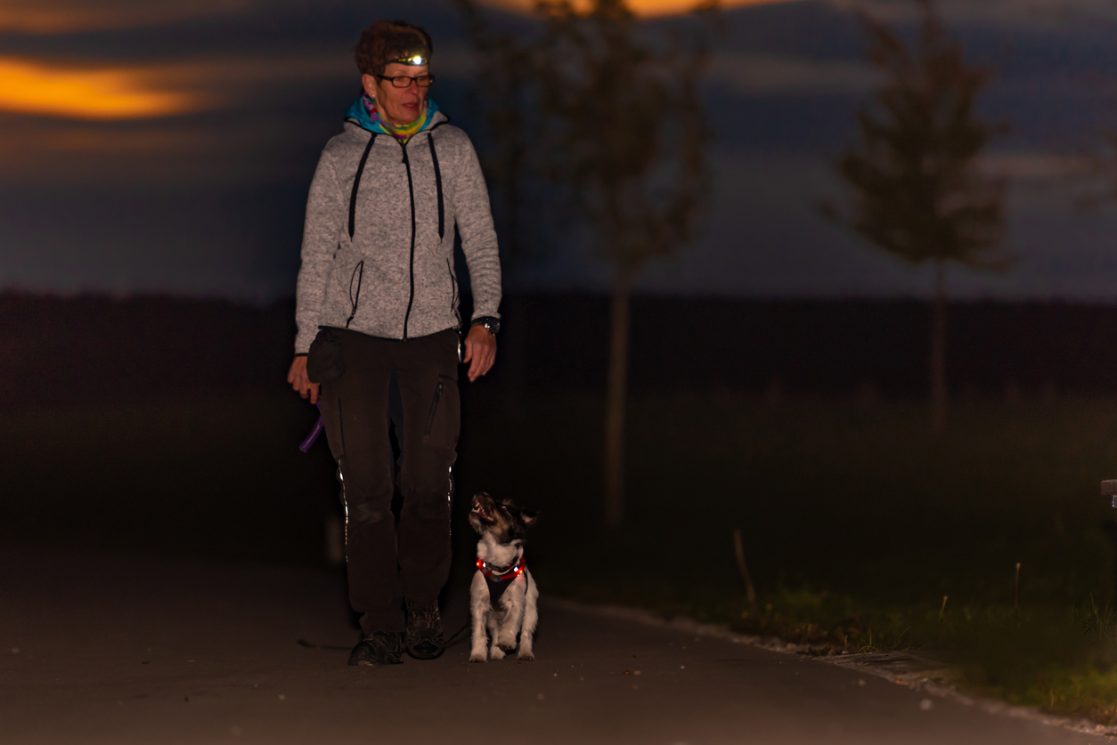 Top Tips for Walking your Dog in the Dark Barking Mad UK