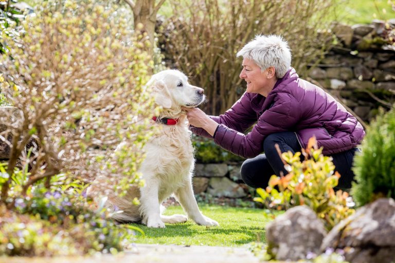 Barking Mad dog sitters provide advice on what plants are poisonous to dogs