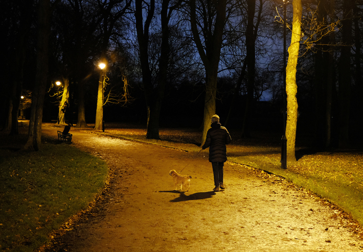 Woman And Dog Walking In Park In Darkness With Sinister Figure Waiting
