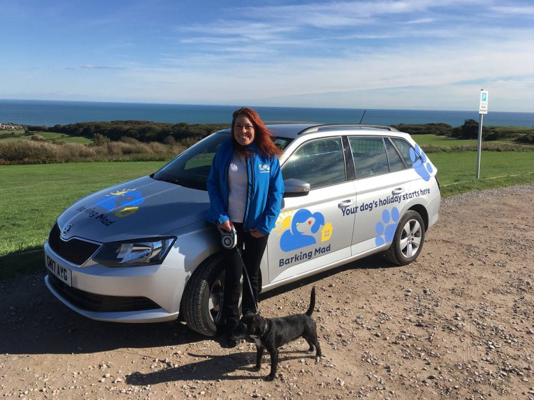Dog With Barking Mad Dog Sitter In East Sussex