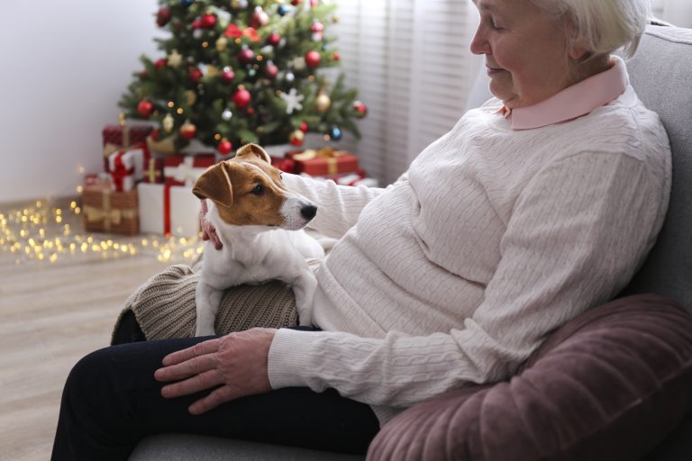 Old Age Woman And Funny Puppy With Brown Fur Stains On Face At Home With Christmas Decor.