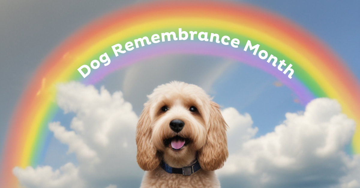 September: Dog Remembrance Month | Barking Mad UK