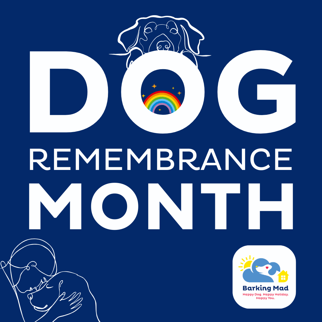 Remembering Our Beloved Pets – Dog Remembrance Month 2025 | Barking Mad UK