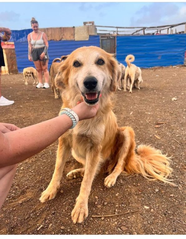 574299871 10238703647918229 6377827126539229927 N